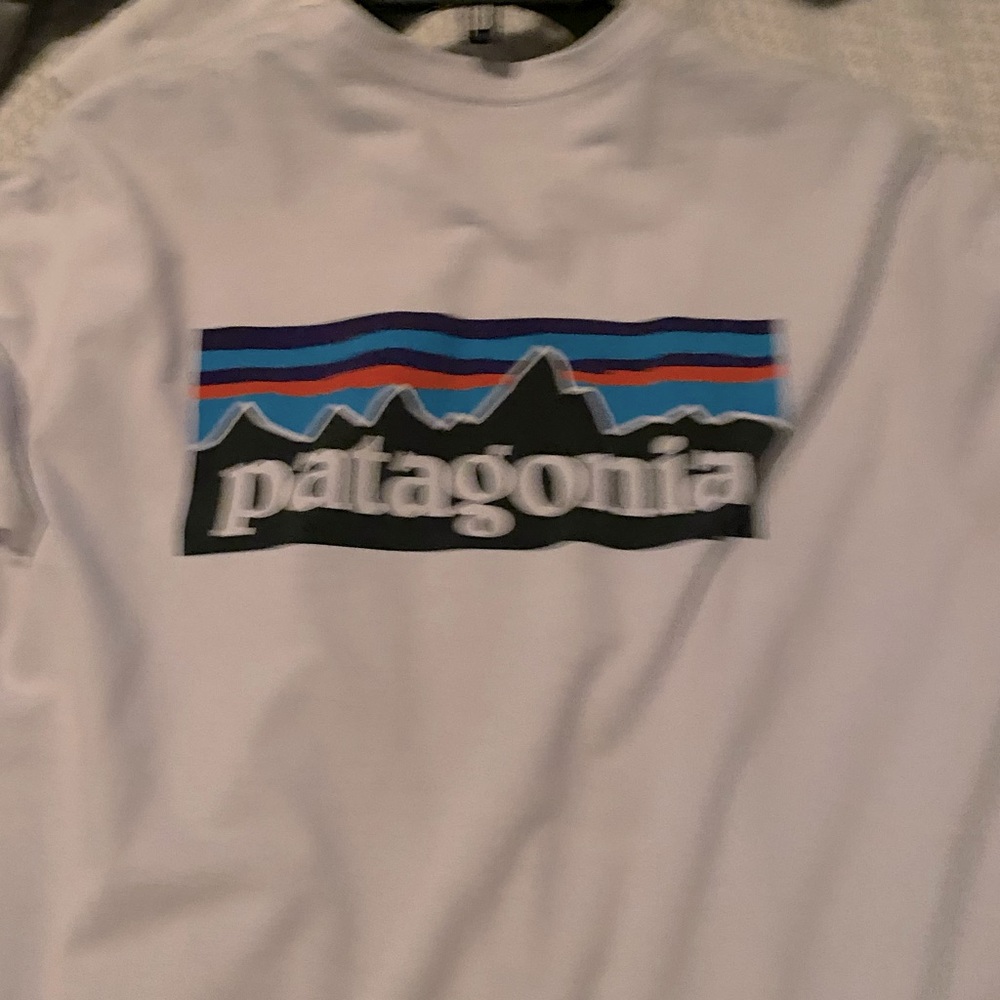 Men’s Medium Patagonia Tee